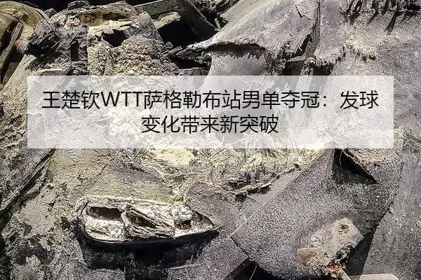 王楚钦WTT萨格勒布站男单夺冠：发球变化带来新突破